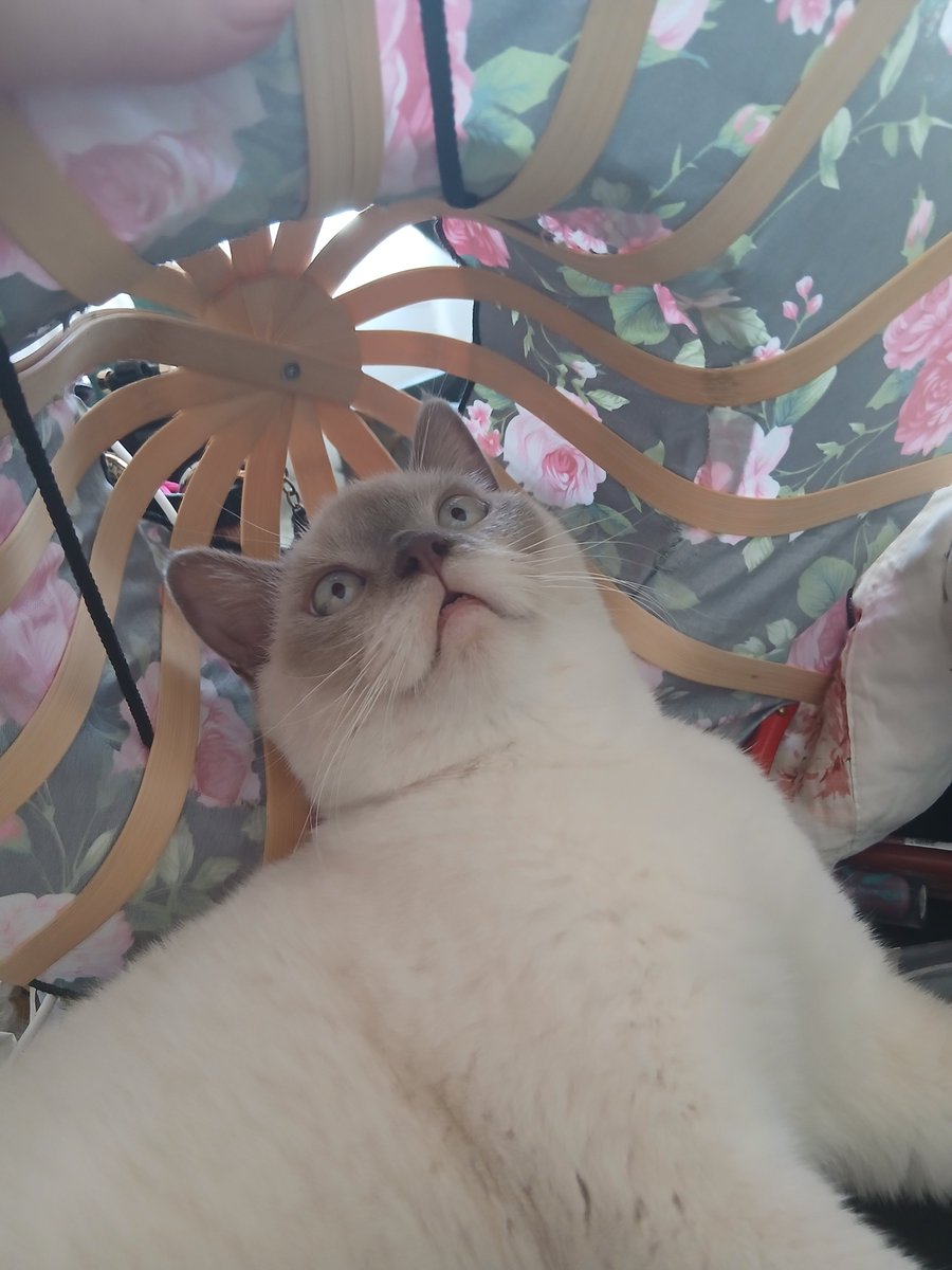 hilalaydin1903's tweet photo. Bu başka bu aşka hiç bi söz yetmiyor..
Bu dünyayı verseler bir çift göz etmiyor.. .
#prensim 😻😻🧿🧿🧿 https://t.co/yiq2bQkDA4