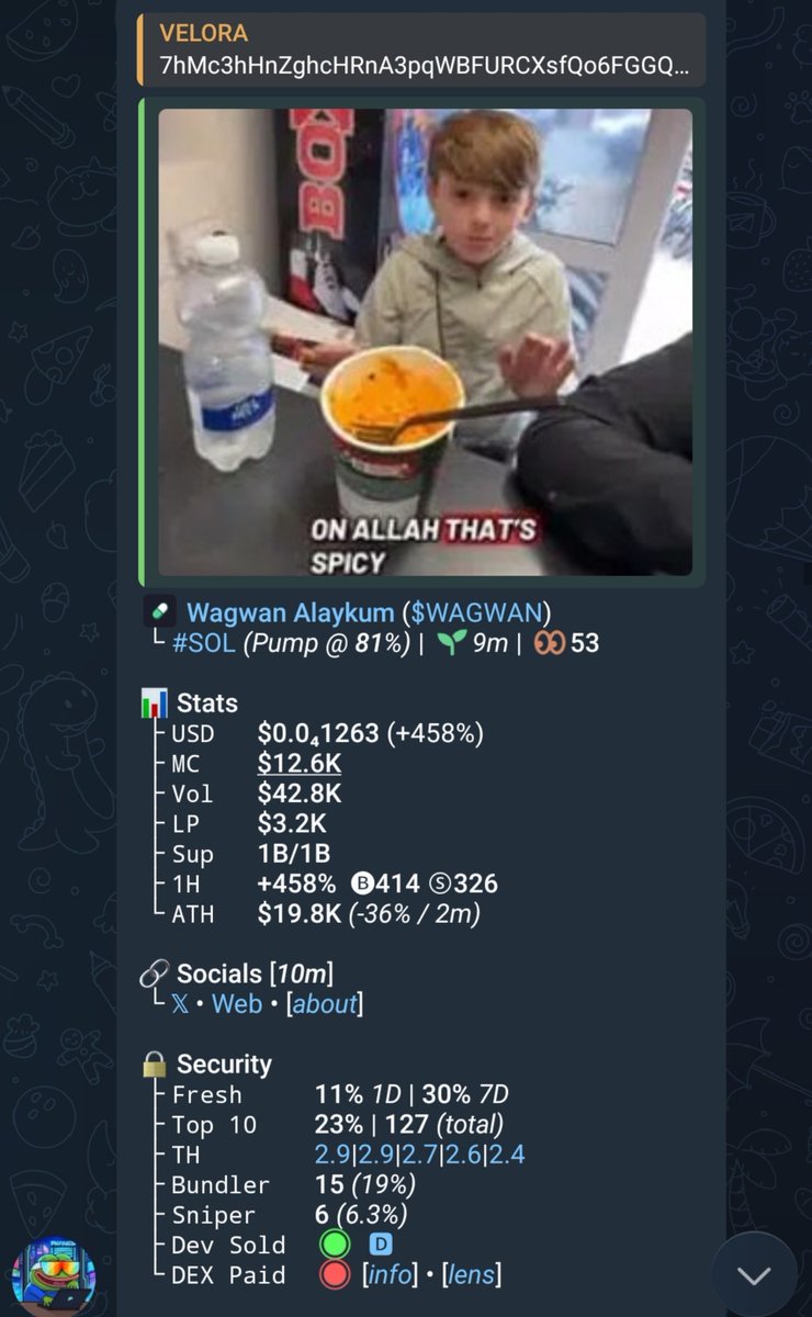 insider_gems's tweet photo. Ca>
7hMc3hHnZghcHRnA3pqWBFURCXsfQo6FGGQF687Ypump https://t.co/ZKbkKxOAXr