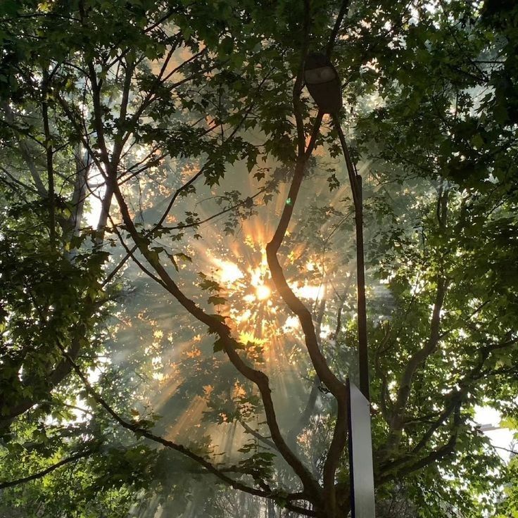 greenvibe's tweet photo. when the sun decides to put on a show… https://t.co/JYdKyzAtsH