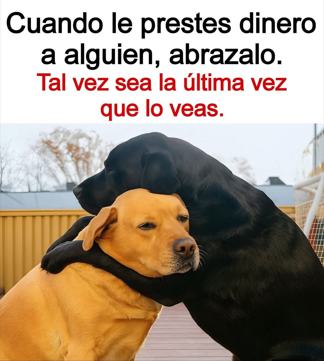 MemesSV7's tweet photo. https://t.co/y2iNyrdo2Q