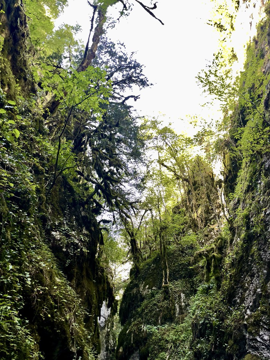 ssylz5's tweet photo. Horma Kanyonu 9/10 🤩 https://t.co/thPASXthXp