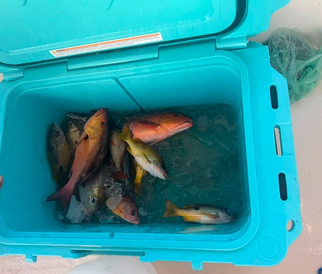 Vitlst's tweet photo. 🎣 https://t.co/RAYD8JrjAU