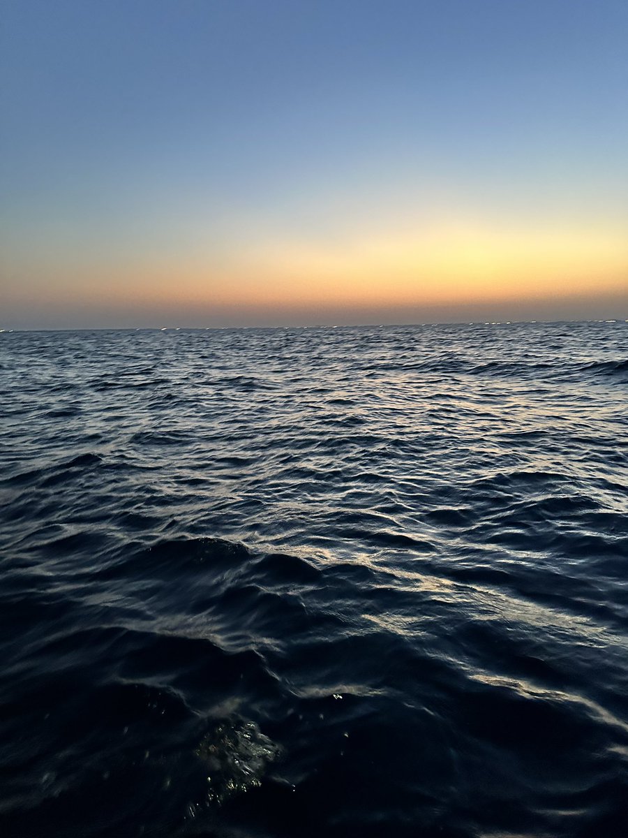 Vitlst's tweet photo. 🎣 https://t.co/RAYD8JrjAU