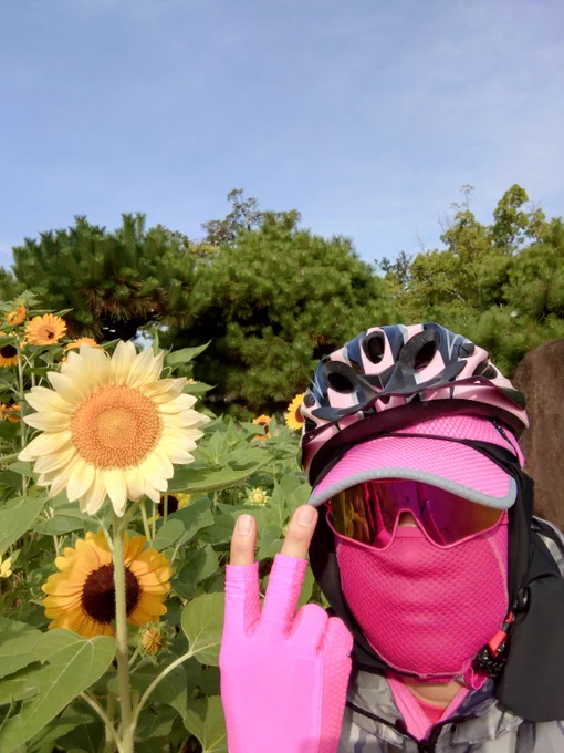 🩷ピンク💞ピース🌹✌️💗✌☮️🍀 on X: 