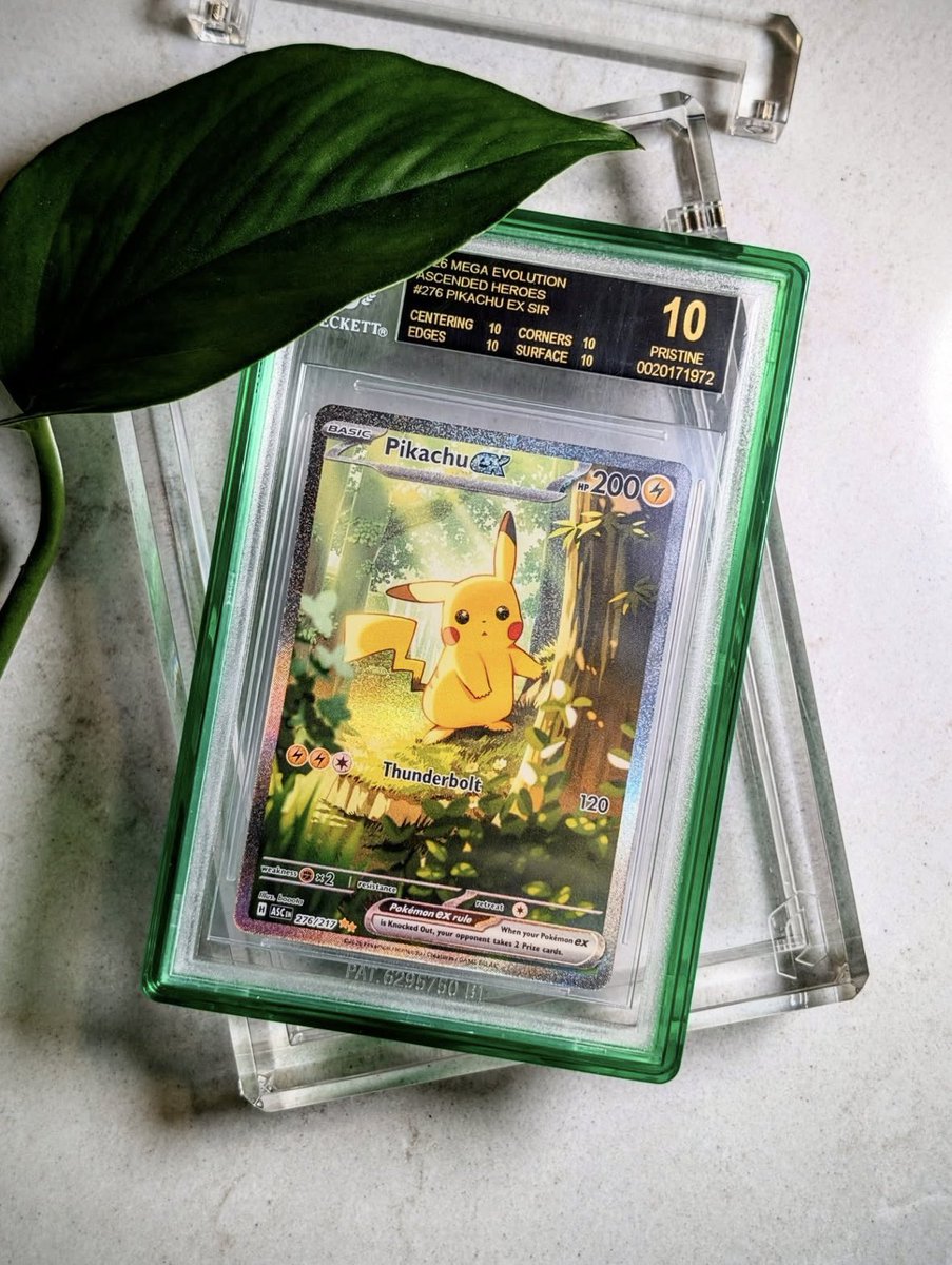 astro_degens's tweet photo. GIVING AWAY this $1,160 USD  BGS 10 PRISTINE 2026 Mega Evolution Ascended Heroes Pikachu ex SIR #276 ⚡️✨ Valued at over $1,500 USD. 

One of the cleanest modern Pikachu cards I’ve ever seen. 🌿💛

A BGS 10 Pristine is about as good as it gets, making this an incredible addition to any Pokémon collection.

Just Follow, Like, RT & Reply for your chance to win.

Good luck, PokéPals! 🍀