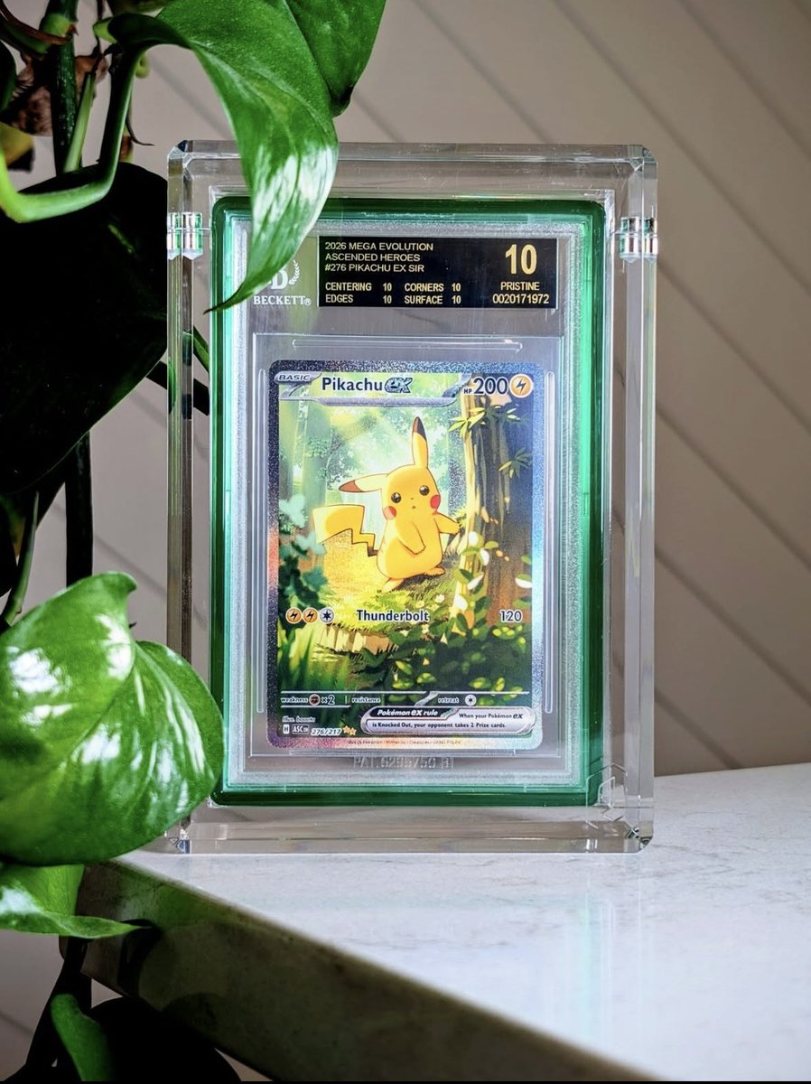 astro_degens's tweet photo. GIVING AWAY this $1,160 USD  BGS 10 PRISTINE 2026 Mega Evolution Ascended Heroes Pikachu ex SIR #276 ⚡️✨ Valued at over $1,500 USD. 

One of the cleanest modern Pikachu cards I’ve ever seen. 🌿💛

A BGS 10 Pristine is about as good as it gets, making this an incredible addition to any Pokémon collection.

Just Follow, Like, RT & Reply for your chance to win.

Good luck, PokéPals! 🍀