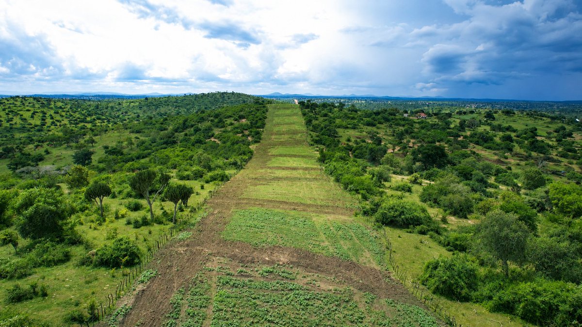 stellaamony's tweet photo. The ongoing reinstatement along the EACOP corridor is a clear demonstration that environmental restoration is an integral part of responsible infrastructure development. As construction progresses, the corridor is being restored to return the landscape to its original state. https://t.co/jrqengAaZM