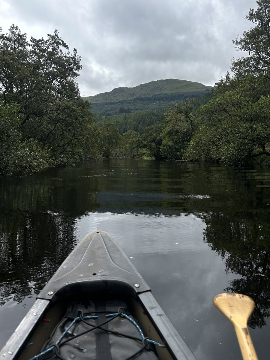 NorthernGeloafa's tweet photo. Row row row ya boat. https://t.co/bkC9sD629E