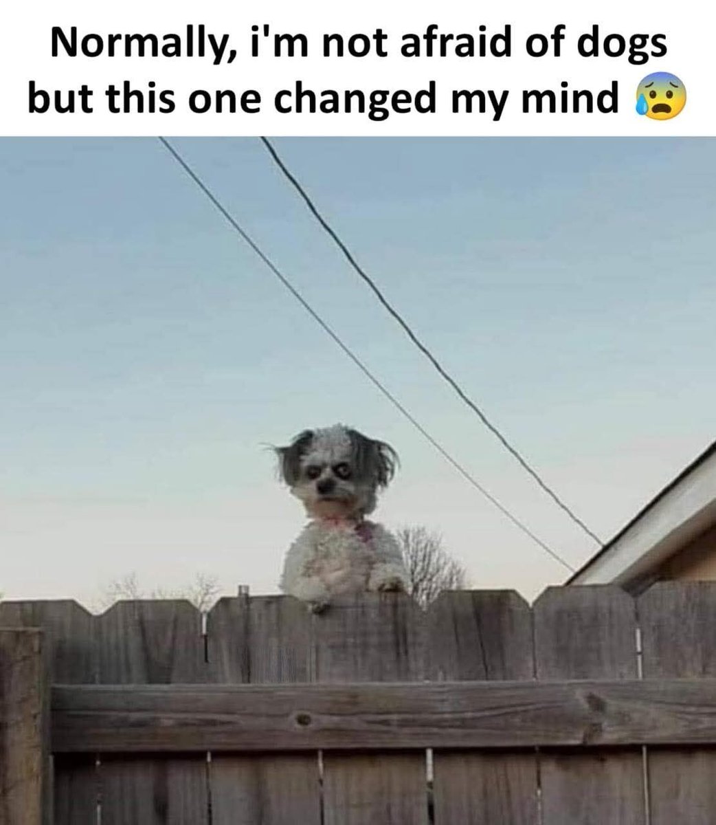 WholesomeMeme's tweet photo. https://t.co/1yBkMorfSt