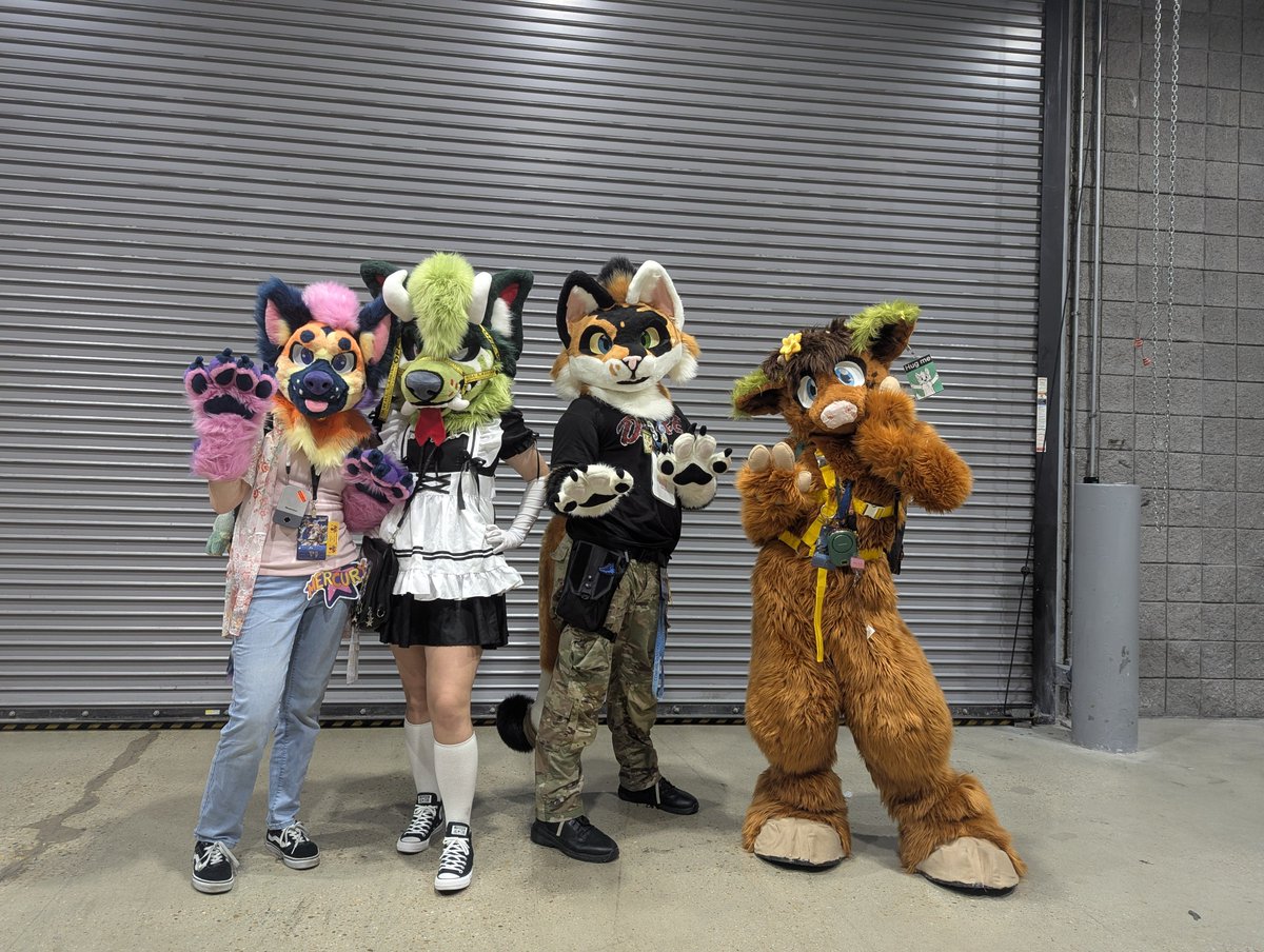 plasmarose15's tweet photo. Found some other furs :3
#Otakon2026 #Otakon #furry #fursuit #fursona https://t.co/X52H57JsB4