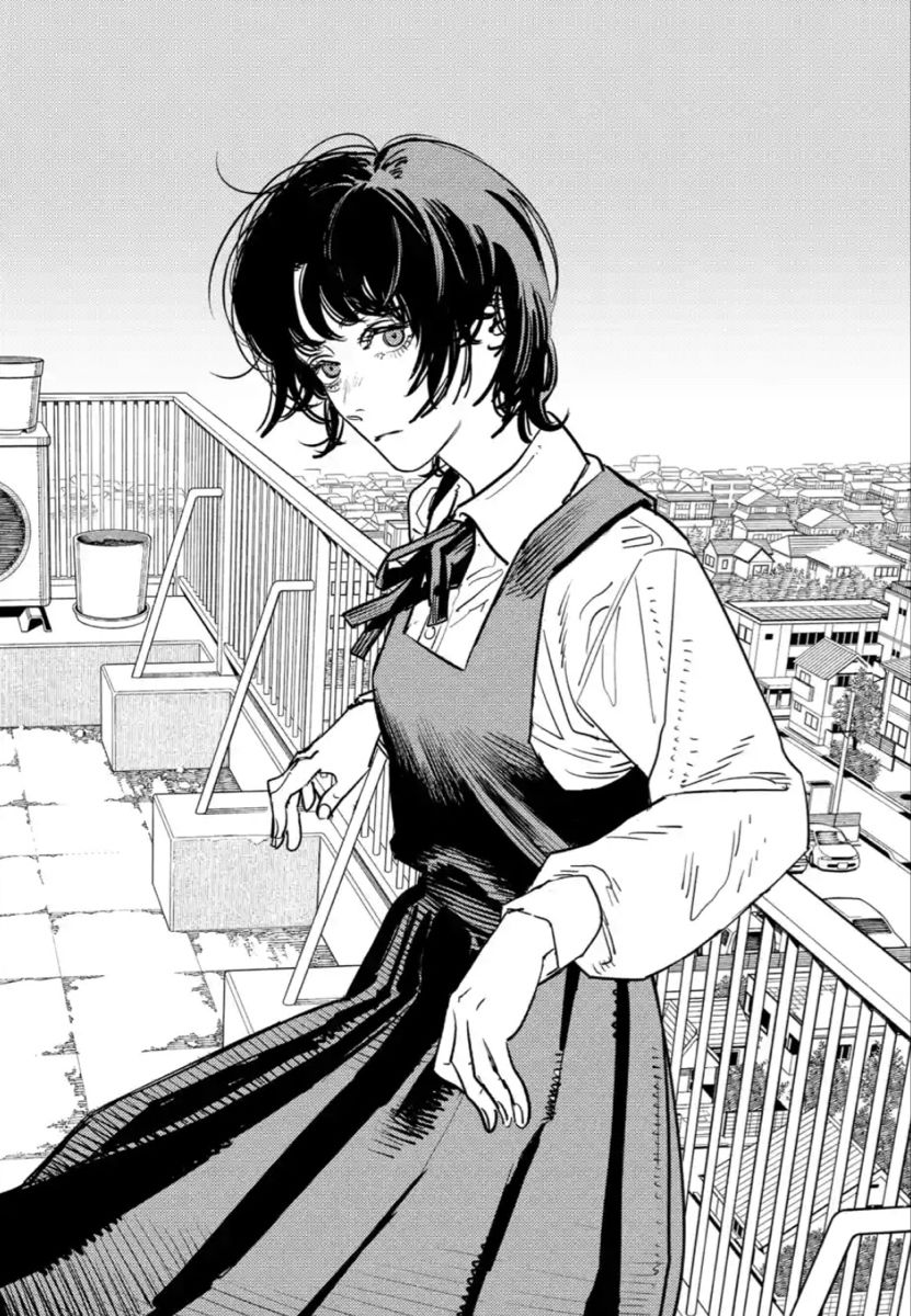 rockguin's tweet photo. @asawhimsy shorthair Asa or Eri? https://t.co/UdvEgwCirQ