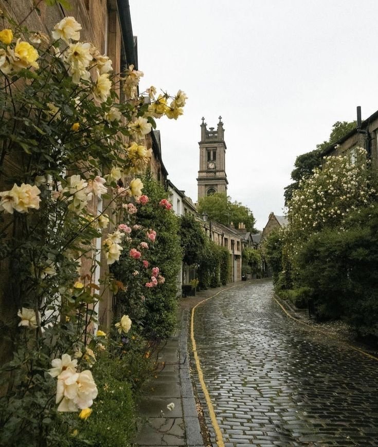 naturehealyou's tweet photo. Edinburgh, Scotland https://t.co/qw5yCNnn7l