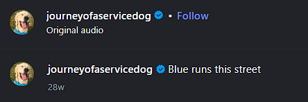 Den_O1_'s tweet photo. This dog deserves to fly!  

800K Likes and 7.3 Million Views in 3 Days. 

Billy The Quest Giver has so many popular videos and this is just one of them.  

Even Instagram themselves commented on the video! Insane.  

Aura, Viral, Recent and a Good Narra, lets send this!  

https://t.co/hUuGCQW4ce 

Name proof: https://t.co/KdYsgAAIDs