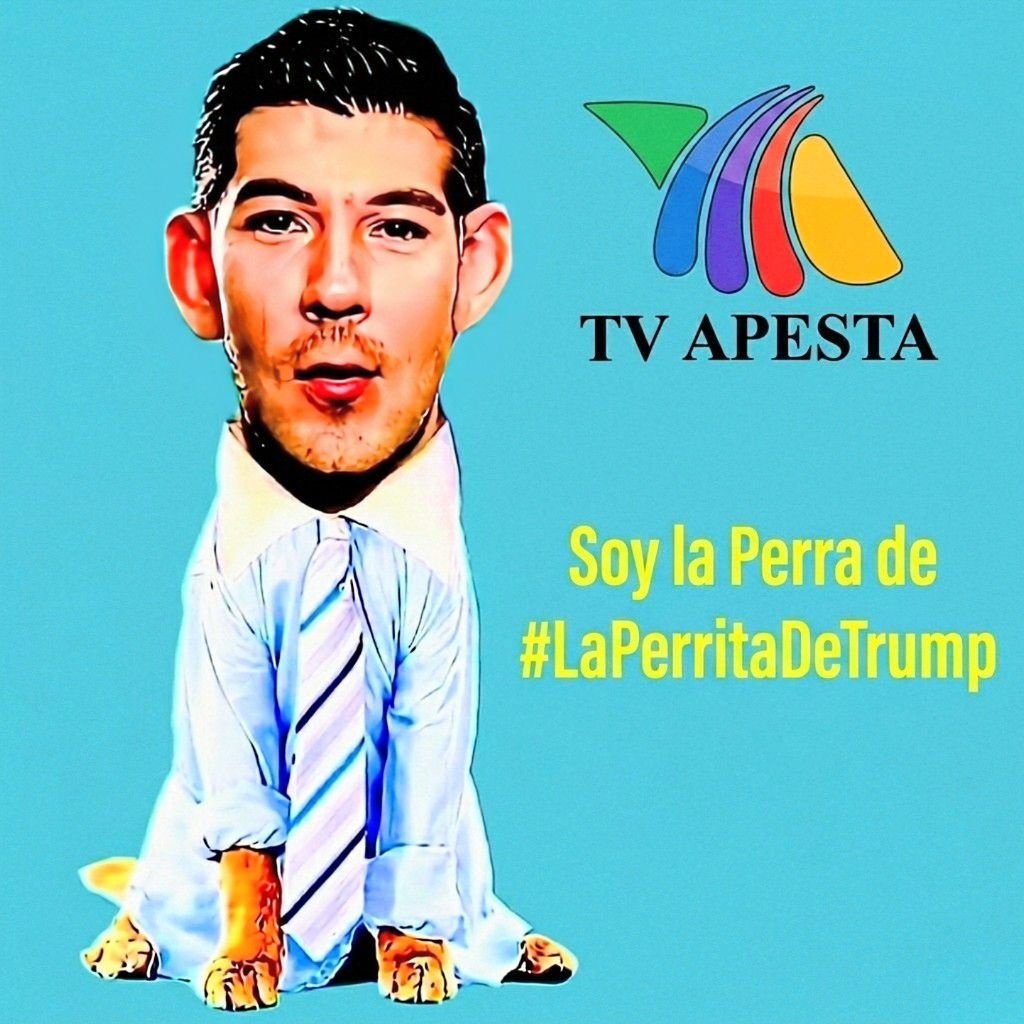 3254_52ed's tweet photo. @YosoyPedrero @MLopezSanMartin @adnnoticiasmx @AztecaNoticias
@RicardoBSalinas @Azteca 

Ahora SÍ  "#ElINEsíSetoca "  ???
HIPOCRITA VENDIDO
#LaPerritaDeLaPerritaDeTrump https://t.co/fwDEEU75ly