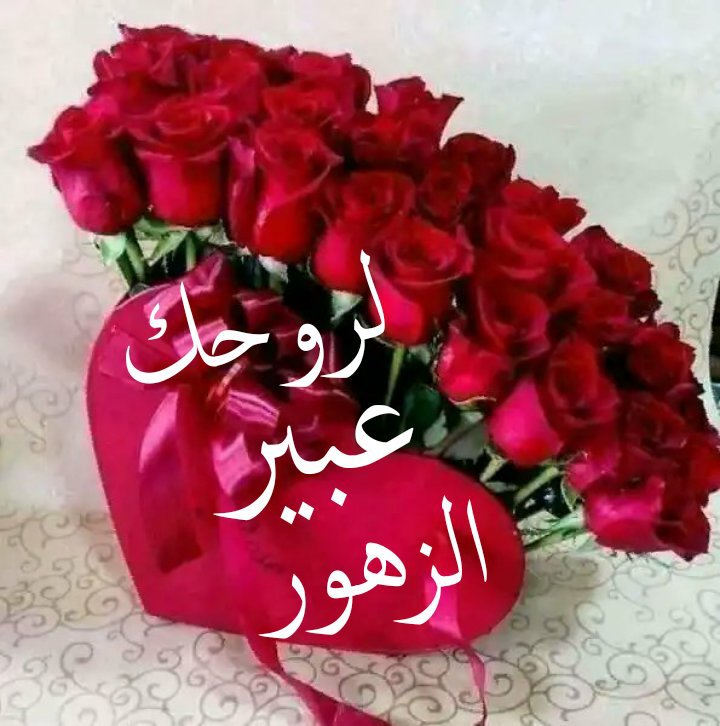 whine90's tweet photo. @alaniqaa1 @j1N_O صح بدنك تسلمين ي عيني 
الابداع منك وفيك ❤️ https://t.co/d7vwIO2QRs
