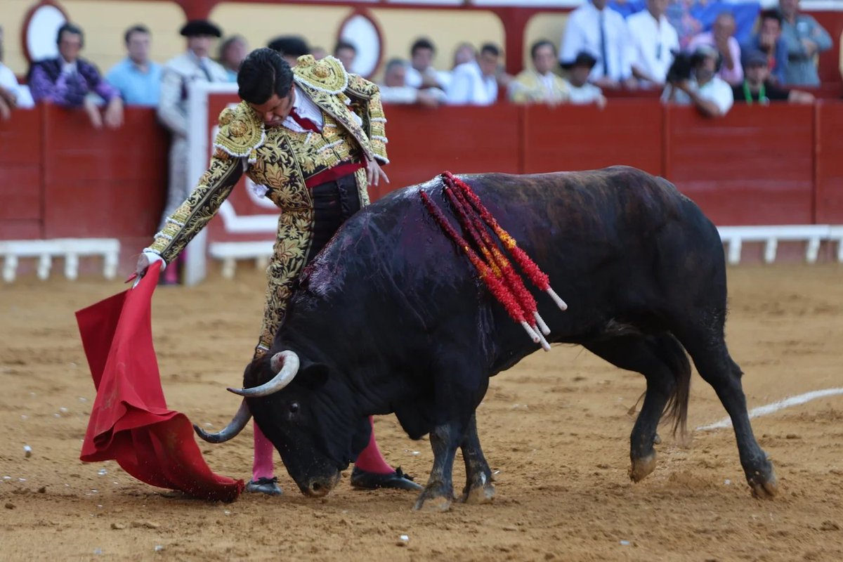 Alamares_largos's tweet photo. Y le quedan tres tardes más, y nosotros a ver rejones en Portugal y corridas repetidas. 

Yo me cago en Onechoto. https://t.co/cYWAxXihVC