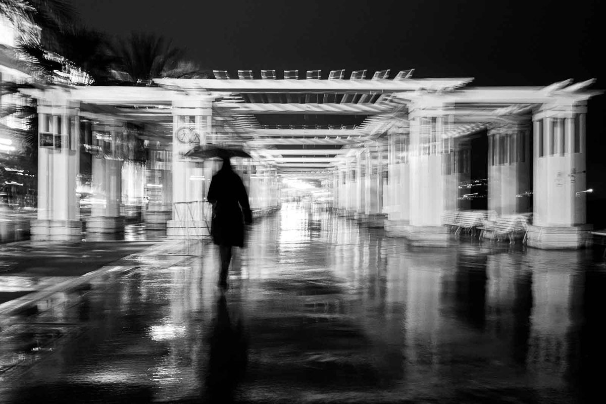 SandraFreeyn5's tweet photo. course it's just a gamble, just a game
yet you became someone i could never forget
the sound of your voice haunts me through the night
i might be batshit crazy but i'm doing alright
you can go ahead and be who you're meant to be
but let me live in your rhythm, a part of your https://t.co/907KSMpb5w