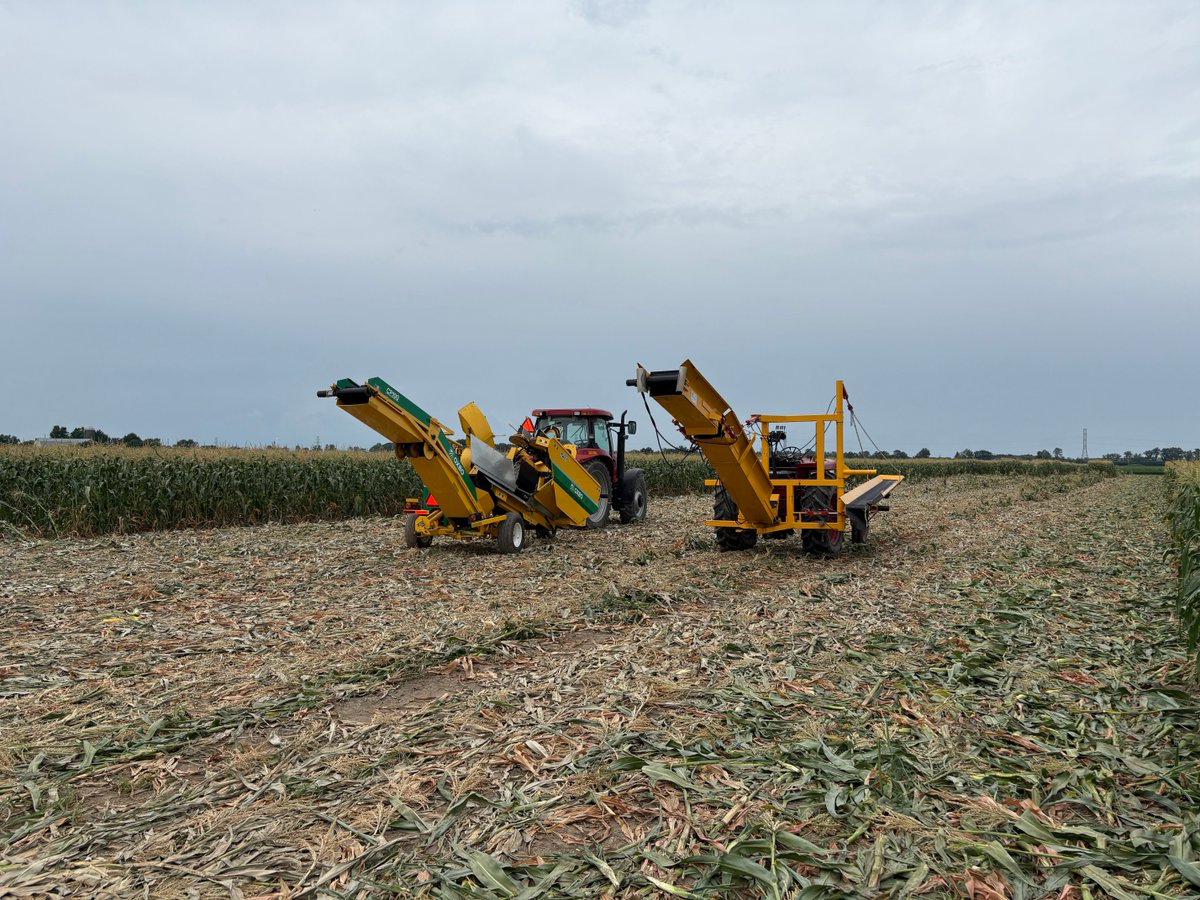 tecfire2's tweet photo. Another good day in!! 🌽🌽👊 #ontag #stokes https://t.co/QsQBvw46NR