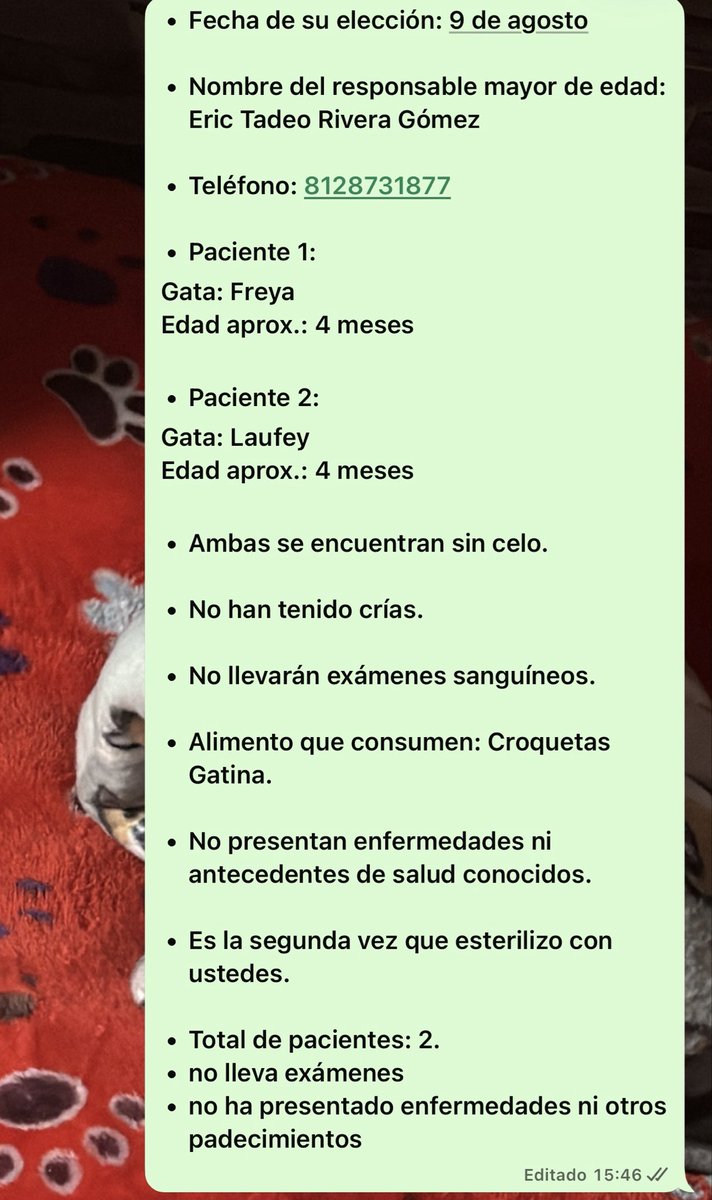 eri_kll's tweet photo. Sin hijitos regados https://t.co/UsFIe3V5ZW