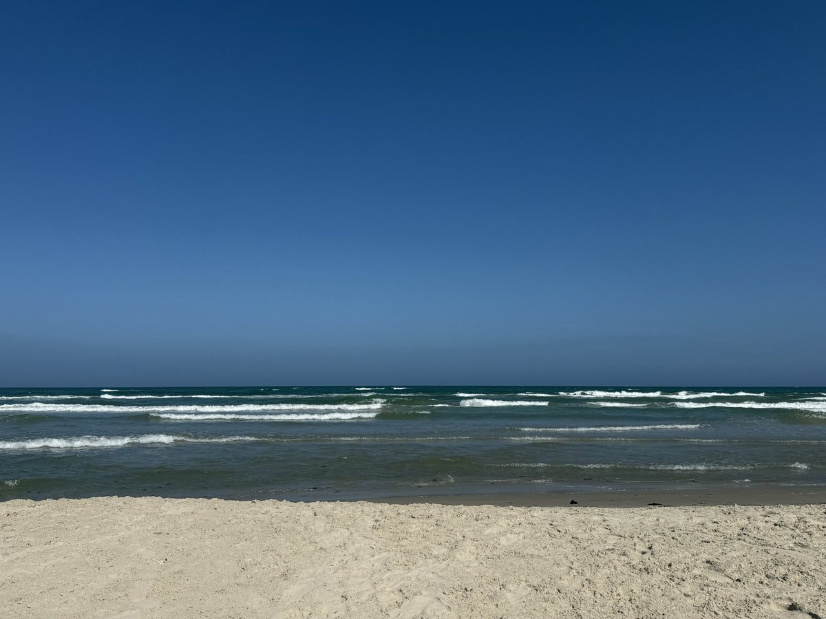 Jon_Five's tweet photo. Posting live from the National Seashore via @Starlink https://t.co/l9ubRVCuS8