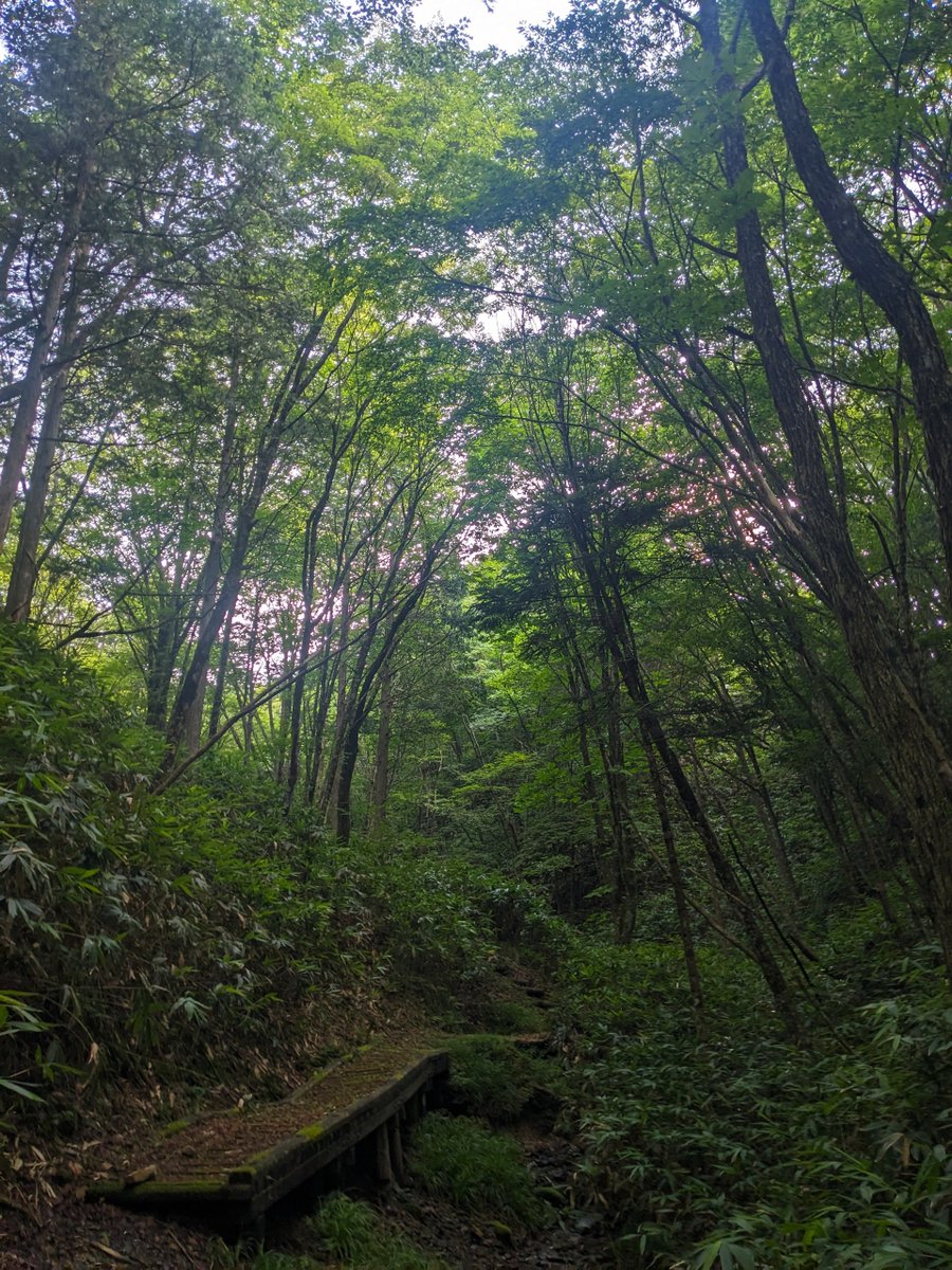 Akula_30sm's tweet photo. 高山の夏 https://t.co/uTt8QQb3yY