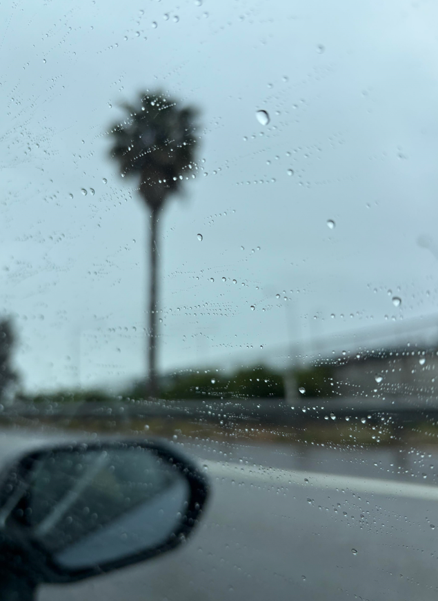 SerenLark's tweet photo. Rainy DayTravel Guide Keep your spirits high and appreciatethe art of raindrops outside your window. Comparedtoa hectic commute being occasionally tied up by the raincan actually be a good way to recharge As long as theresgoodmusic in the car rainy days are the perfect backdrop https://t.co/bRDB11zz36