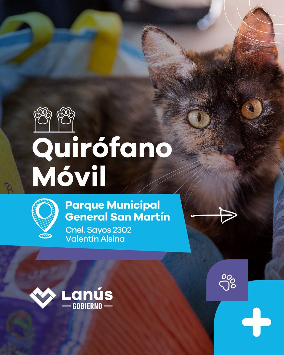 lanusmunicipio's tweet photo. 🐶 QUIRÓFANO MÓVIL 😸

Te esperamos en el 📍 Parque Municipal General San Martín (Cnel. Sayos 2302, Valentín Alsina)

✅ El lunes 3 de agosto desde las 09:00, estaremos entregando turnos para castración de manera presencial hasta agotar cupos.

💉 También vas a poder acercarte con tu mascota de lunes a viernes, de 09:00 a 12:00, para recibir su vacuna antirrábica anual.

#LaCiudadQueNosMerecemos