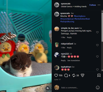 Den_O1_'s tweet photo. I seriously do not know how this hasn't sent.    

This video of this cat pooping is insanely Viral with already 1.6 Million Likes and 15 Million views in only 3 days.     

The video is of the cat Mocha pooping in a sprinkle litterbox making weird straining sounds.     

People are memeing Mocha, calling him Mr.Poop in the comments!  

Viral, Recent, Named and Memeable!    

https://t.co/Z29juKT6kp   

Name: (proof below) https://t.co/D9kFmOPekG