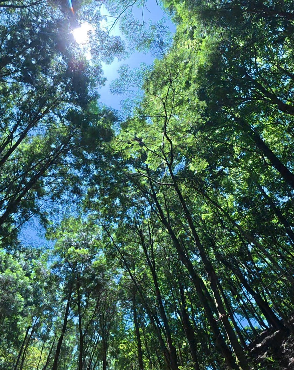 Elton5356's tweet photo. 微笑灣農場坐落在海拔約200公尺的山區, 這裡的自然環境讓人心情愉快, 營區占地寬廣, 設施完善, 有草地碎石營位、露營車, 貨櫃屋和小木屋等不同選擇, 能在舒適環境中享受露營的樂趣, 在天氣良好的夜晚, 可以欣賞到蘭陽平原的美麗夜景！
https://t.co/F8CpB7Wedu https://t.co/EKMxZvXh2O