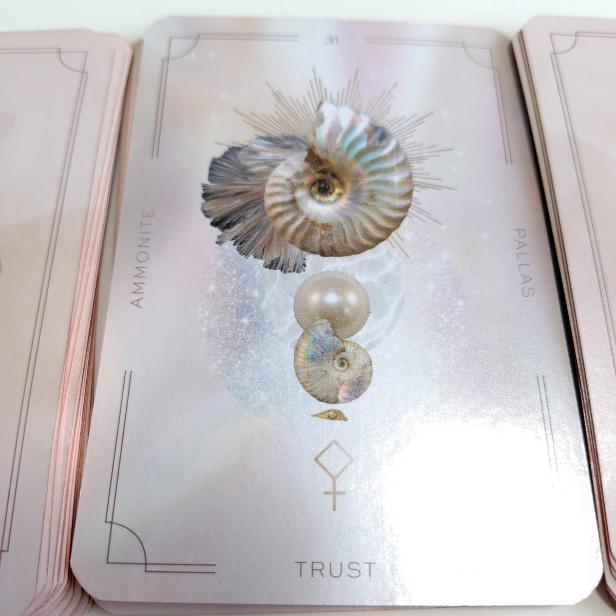 meihua_marmaid's tweet photo. 今週の天然石
アンモナイト/パラス
31.信じる力 TRUST
本能、発展、知恵
必要なことだけを口にし、そうでないことは黙っていましょう。あなたの周波数が整った時、望みが目に見える形でやってくることを信じましょう
#ASTRALREALMS
天然石·星のアクセサリーmeihua
https://t.co/goTyOyngRz
続き↓ https://t.co/vZrBaNR6Rx