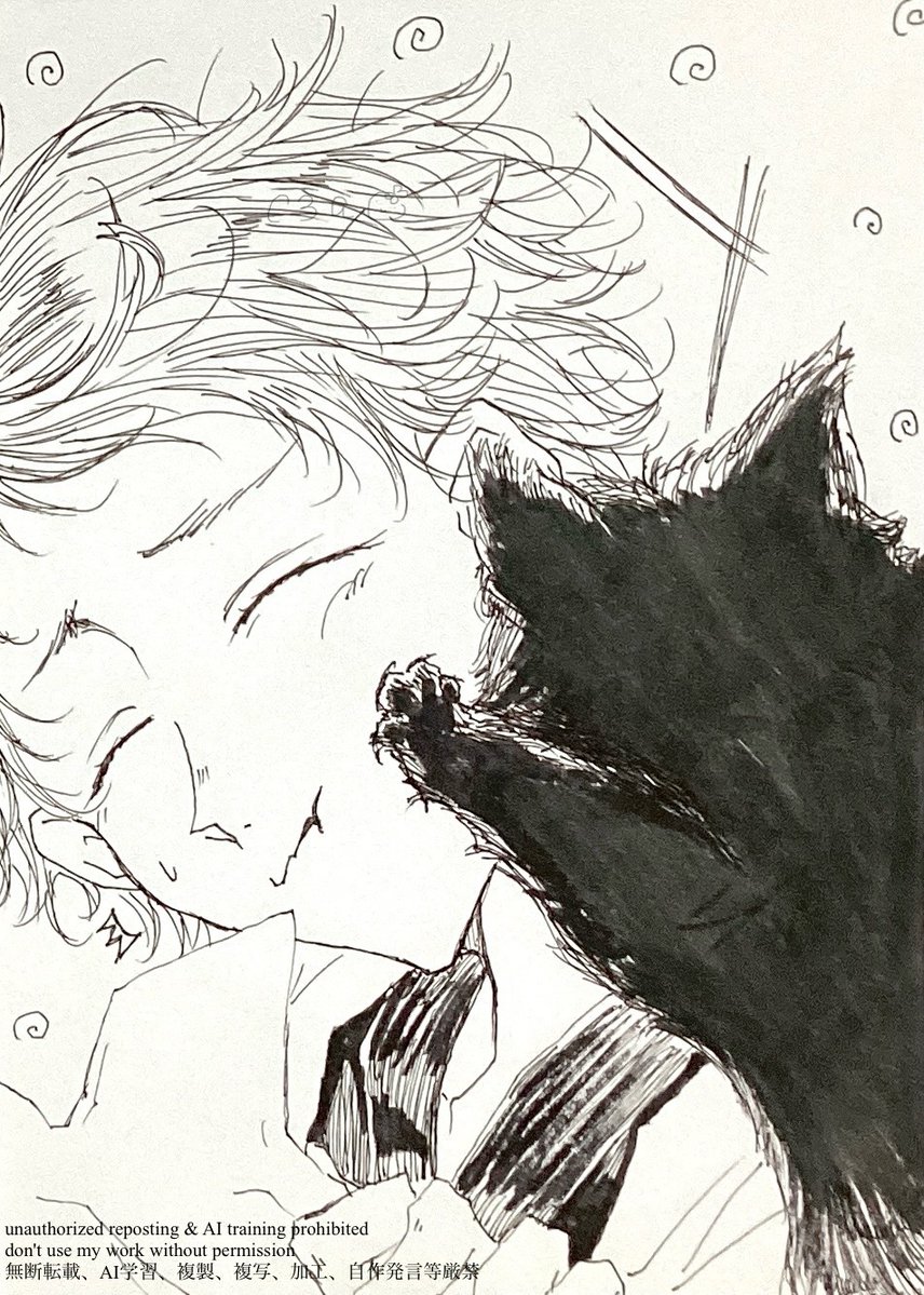 1whiteazure's tweet photo. 🐈
#お絵描き　#イラスト https://t.co/H9DZ1vHZ5i