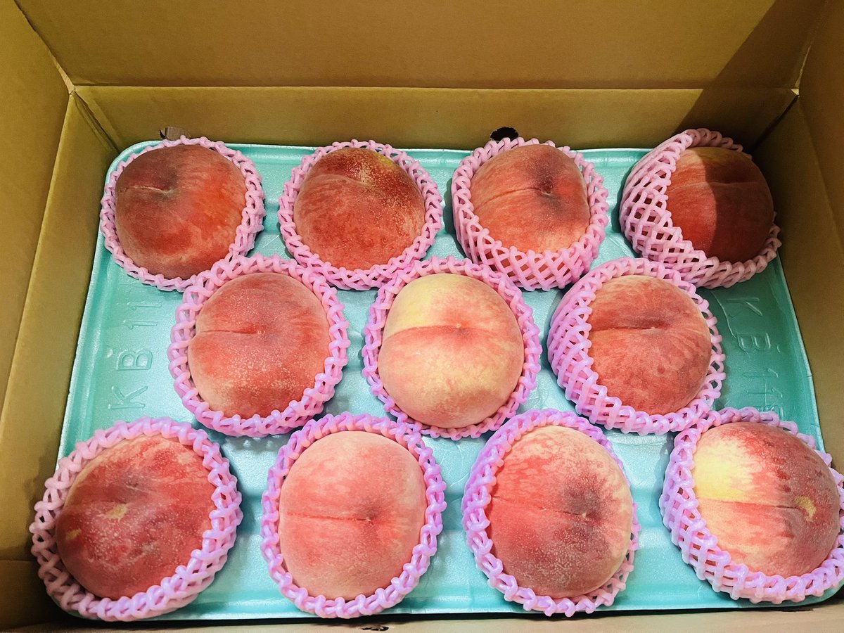 garla0820's tweet photo. アミ友ちゃんから立派な桃が届きました🍑

甘くてジューシーでとっても美味しい🥰

フルーツ大好きな息子が、丸かじりしていい？と笑
かじりながら、うわぁ贅沢な食べ方だ😍と大喜び🤣

旬の物を楽しめるって、贅沢で有り難いことだなと💜 https://t.co/z28x4EB2c8