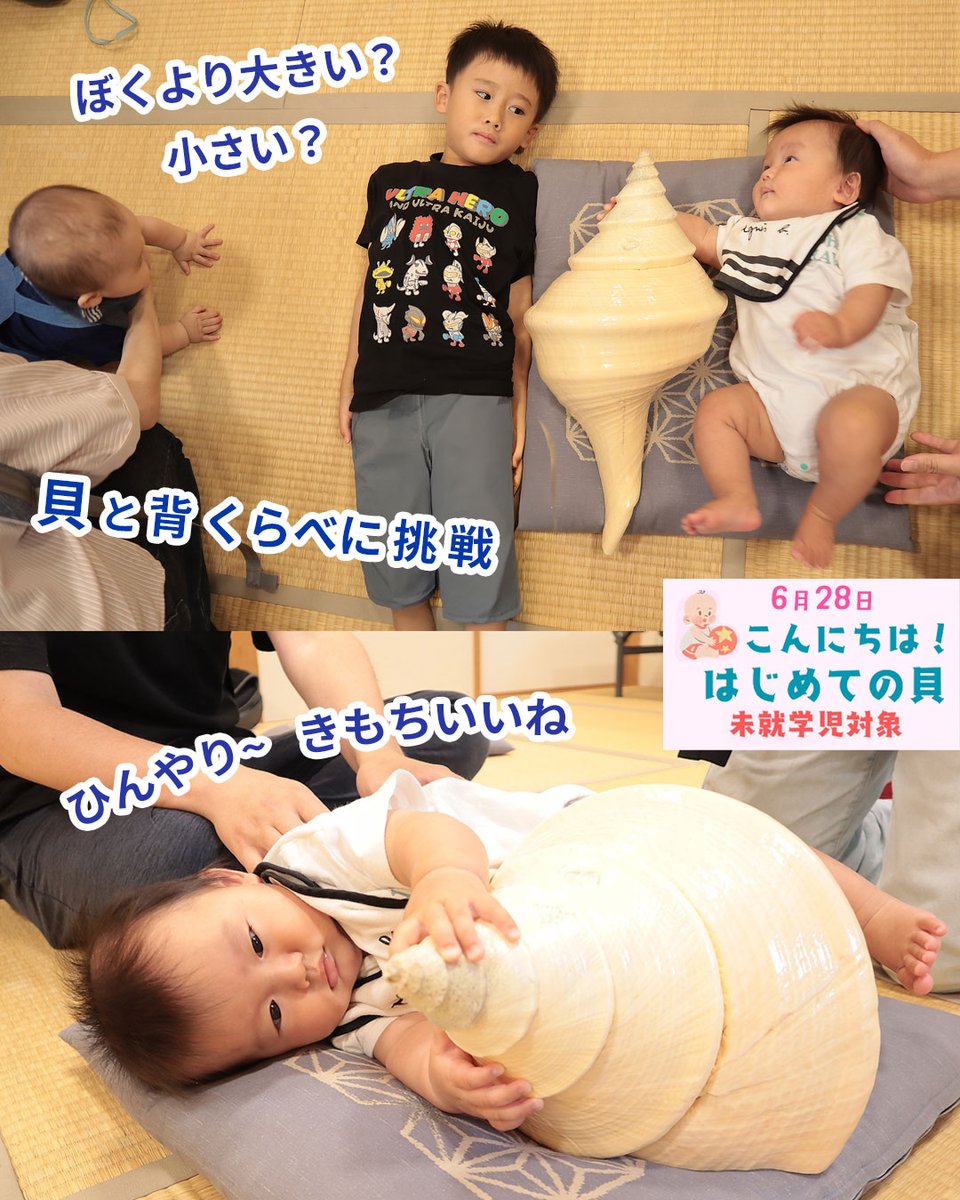haku_labo's tweet photo. 🐚【活動報告】「はじめての貝」✨
6/28 #西宮市貝類館 で #未就学児向けワークショップ 開催しました😊
最後は #貝 のおもちゃで「ザザーン🌊」と絵本を楽しみました📖

📅次回は9/12(土)・13(日)【事前予約制】
詳しくは #西宮市貝類館 へ！

#大阪自然史センター #はくラボ #親子イベント #自然体験 https://t.co/HPsKUg0SOM