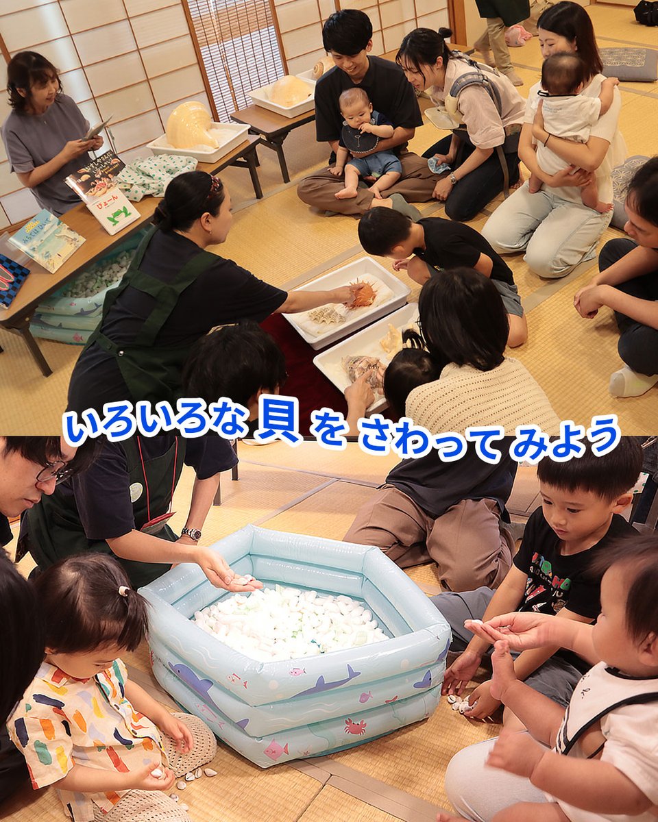 haku_labo's tweet photo. 🐚【活動報告】「はじめての貝」✨
6/28 #西宮市貝類館 で #未就学児向けワークショップ 開催しました😊
最後は #貝 のおもちゃで「ザザーン🌊」と絵本を楽しみました📖

📅次回は9/12(土)・13(日)【事前予約制】
詳しくは #西宮市貝類館 へ！

#大阪自然史センター #はくラボ #親子イベント #自然体験 https://t.co/HPsKUg0SOM