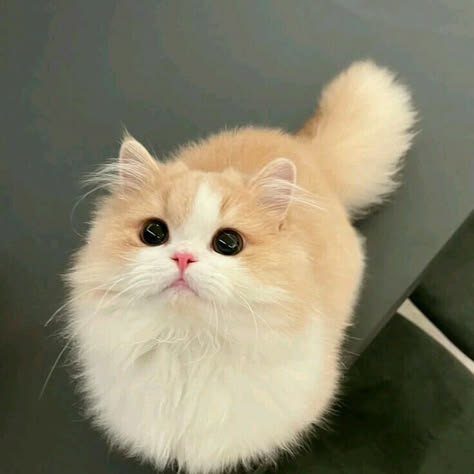 rojas12345's tweet photo. البحيرة الساكنة جميل لدرجة أنه يجعل يومًا مرهقًا يستحق العناء فجأة.
tjBRD https://t.co/9AikRp1FAG