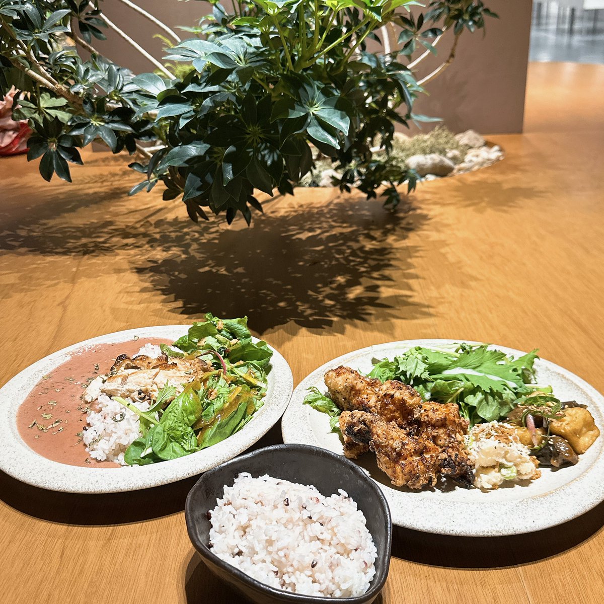 maakun0927's tweet photo. ラーンチ🍽
 #飯テロ
 #マサのご飯 https://t.co/1ogtNR33gl