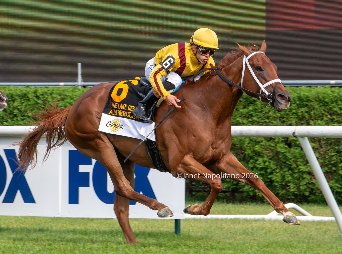 jmg27_janet's tweet photo. AMBERGLEN (IRE) and @iradortiz in the Gr3 Lake George for trainer @bradcoxracing and @StonestreetFarm https://t.co/xFcofJeUVJ