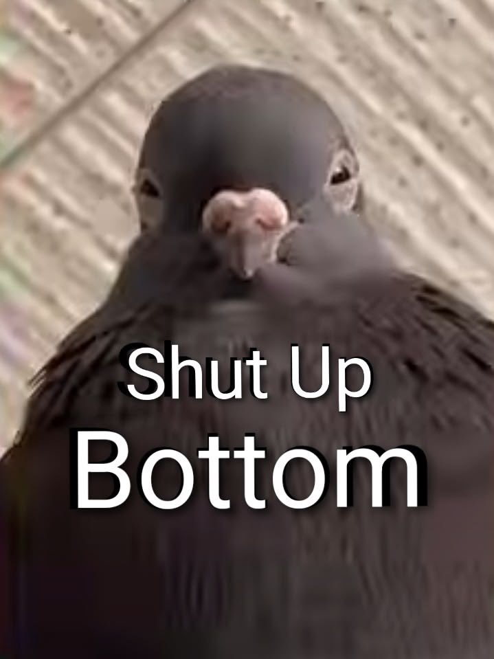mara tweet media