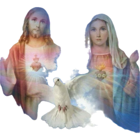 JSarrs's tweet photo. @biobio 😢 Q.D.E.P.  
DIOS, lo reciba en su Santo Reino https://t.co/jQcsroDyit