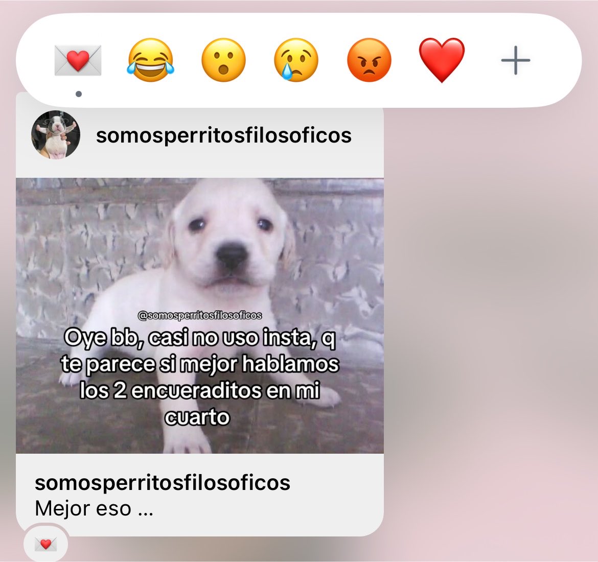 regilasoo's tweet photo. hola?? Si estoy muy enamorado de mi bebito bauchi https://t.co/fDspPfJ6kZ