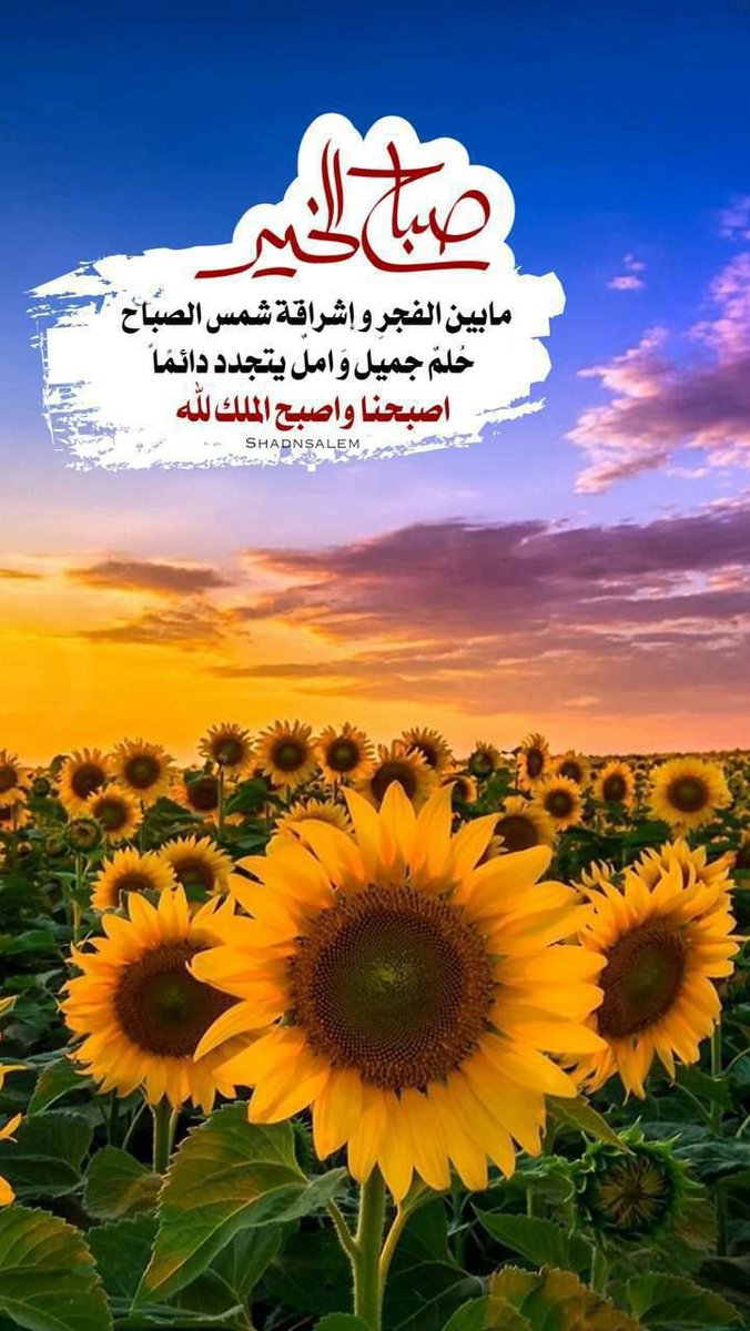 ❤️زيااااااد👌 tweet media