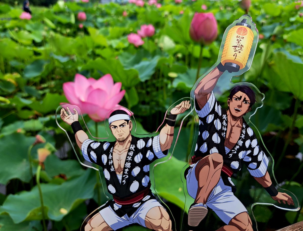 iyom_dq10's tweet photo. 秋田竿燈まつり×ゴールデンカムイ
2026

物販とパネル展示されている｢秋田県産品プラザ｣の横、千秋公園がちょうど蓮の見頃で、鯉登月島のバディ感が刺さりまくっているオタクとしてはこれだけで白飯3杯いける🍚🍚🍚｢一蓮托生｣って言葉　本当に尊い✨
朝早い時間が１日で一番蓮の花が綺麗に開きます🪷
