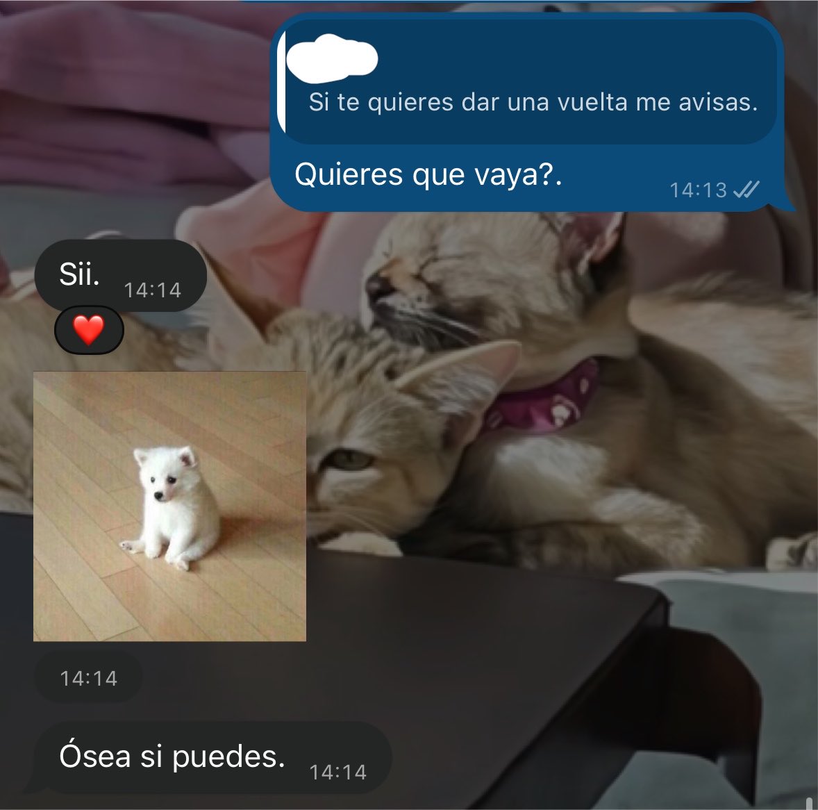 alisonbarredo's tweet photo. Terminó pasando por mi 🙂‍↕️ https://t.co/ntxskju83l