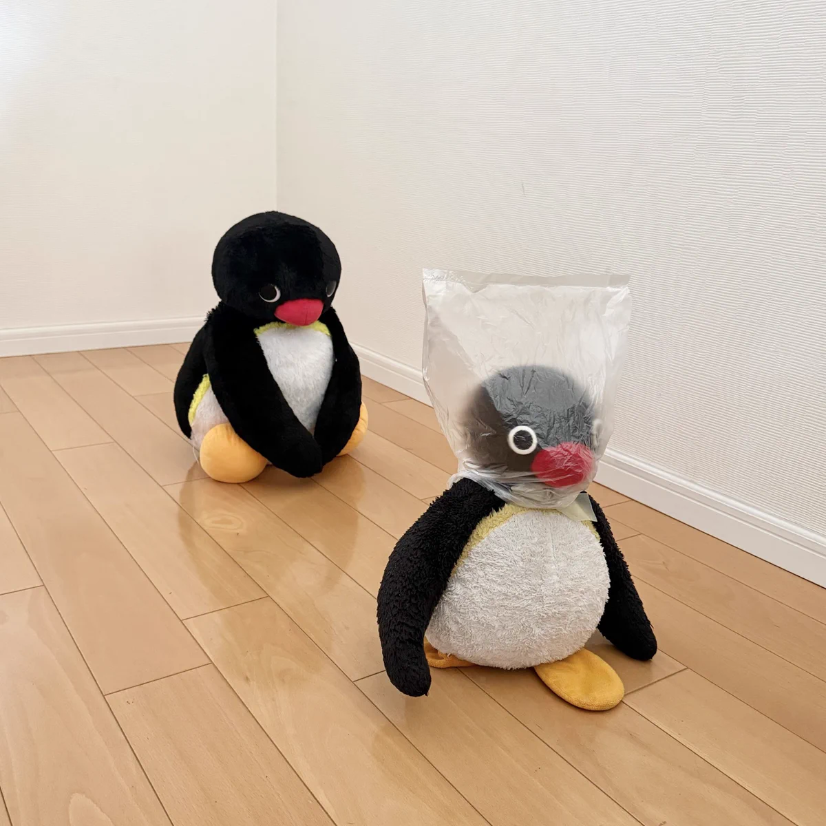 とも☆　ピンPING pingmyping on X: 