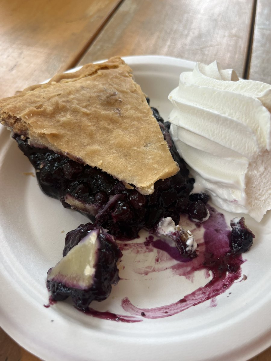 Nanachaan369's tweet photo. À peu près 2,75€ pour ça et on n’a pas demandé la glace en plus. Une tuerie #bleuets #québec #lacstjean #canada https://t.co/rDHP7ZMie1