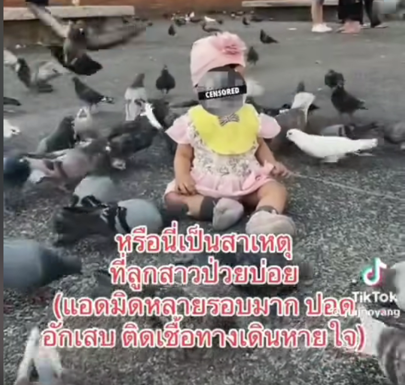 WinTrader1's tweet photo. @prayutnahee55 พ่อแม่รังแกฉัน สงสารเด็ก https://t.co/NmmntlGYoZ