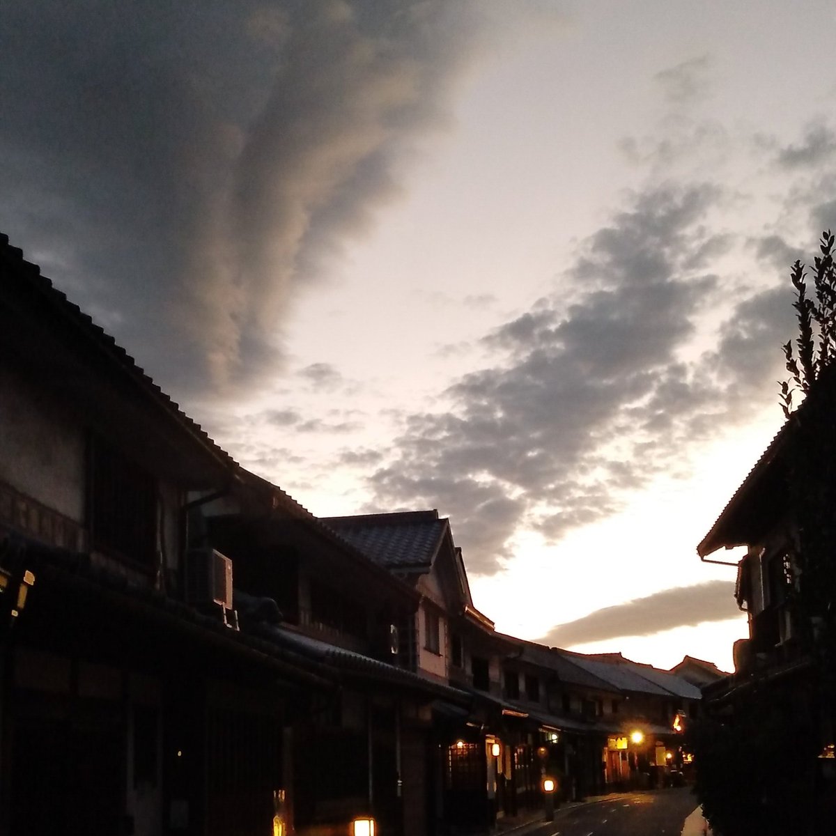 nautilus_toshi tweet picture