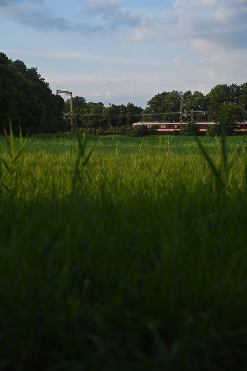 nnammg's tweet photo. 見上げると空しかない。

かつて松本に住んでいたときの

『広大な自由』

を感じられるところを歩いてました。

奈良もいいぞ。

（平城宮跡にて）

#NikonZf https://t.co/oJ5hQDw2zq