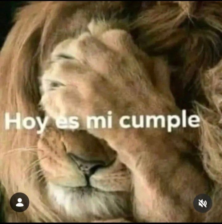 marcelamoch467's tweet photo. @valerialynch QUERIDA VAL, ME ENVIARIAS, UN SALUDO DE CUMPLE DE PUÑO Y LETRA ....ME HARIAS MUY, MUY FELIZ...TE QUIERO POR Y PARA SIEMPRE.... GRACIAS...MARCE MOCHI https://t.co/hX33AHkLEG
