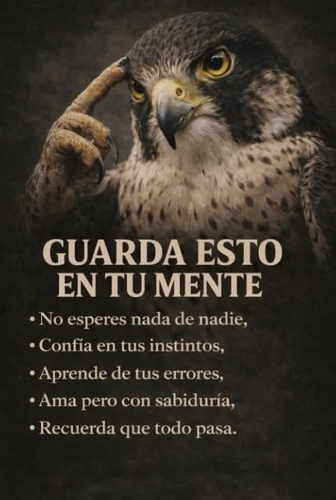 ovidiolopez81's tweet photo. Ok https://t.co/kEroH4gAgv